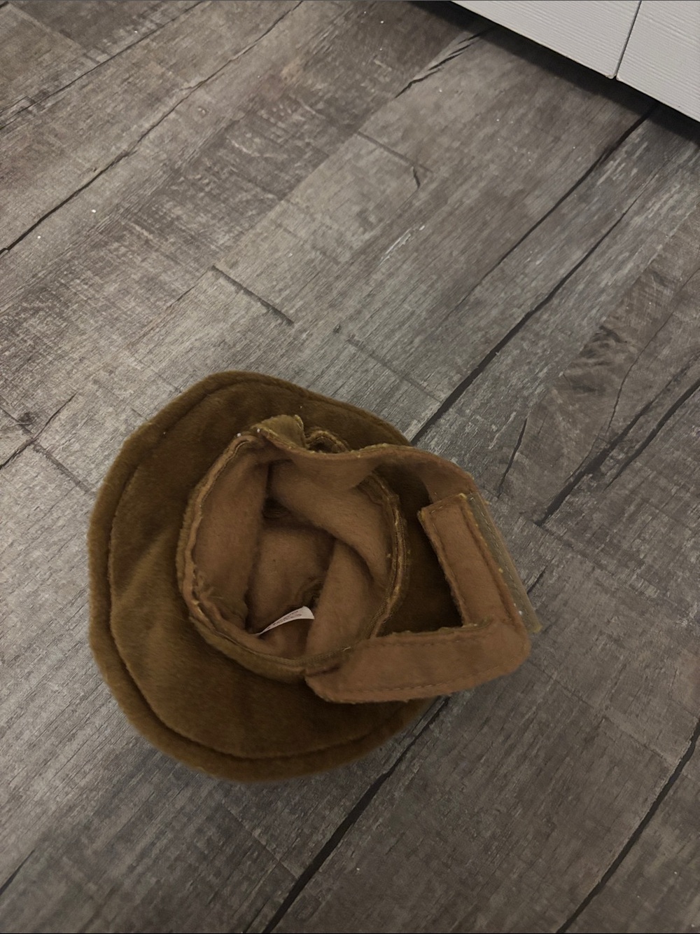Adjustable brown Hat for Dogs - Picture 2 of 4